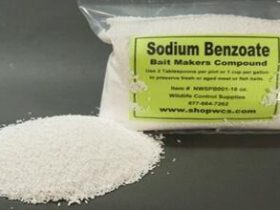 Bahan pengawet makanan Natrium Benzoat