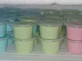 Cara Membuat Es Krim Pop Ice Beragam Rasa