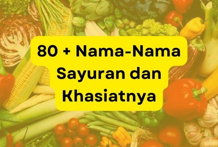 80 Nama Nama Sayuran dan Khasiatnya